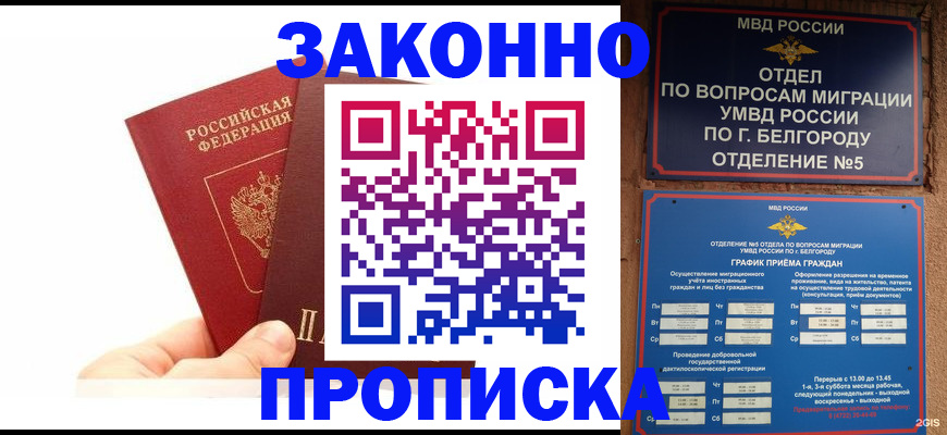 временная регистрация для школы в Бийске